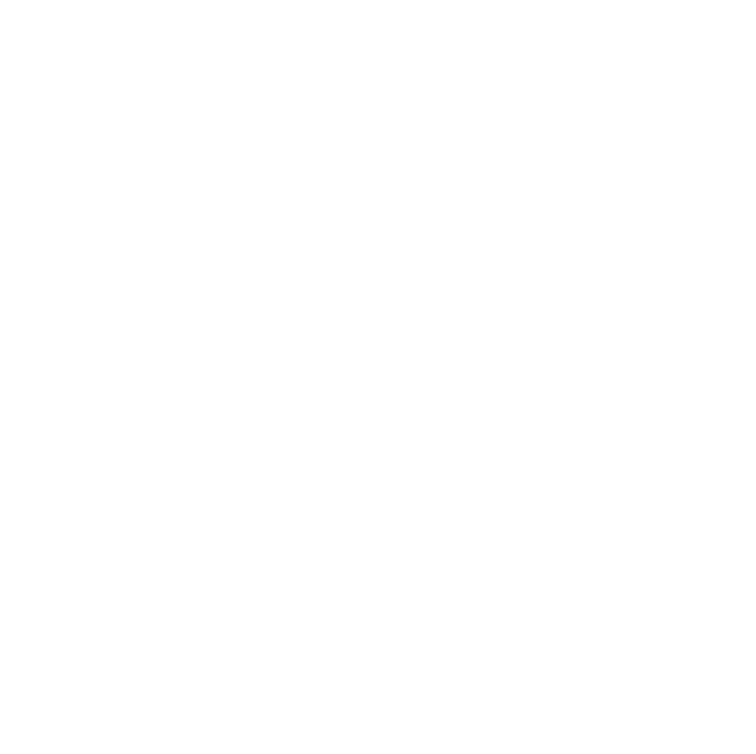 Massive Web Design logo